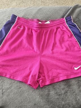 Nike Women’s  Pink/Purple Athletic Shorts with Dark Purple Panels